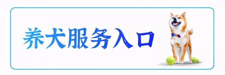 珠海的铲屎官们注意！手机上就能给狗狗办理登记年审注销手续！